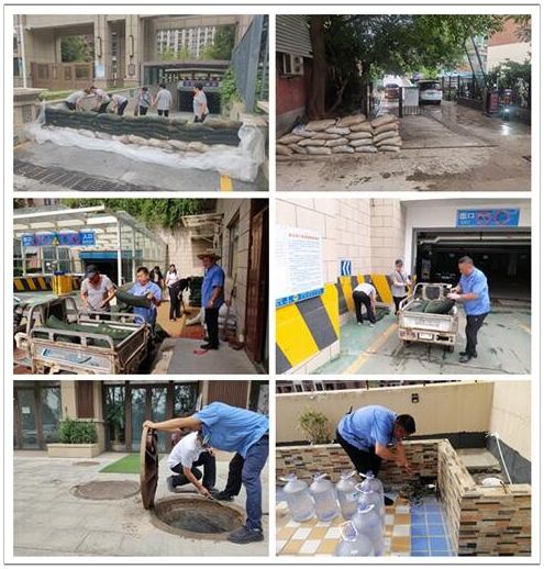 1627545241258750.jpg 3.jpg